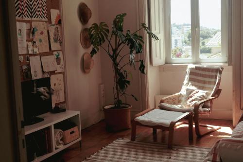  Coimbra Erasmus House - Guest House in Coimbra