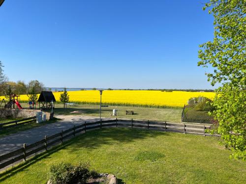 Omgeving, Wieckblick Krummin 17b in Krummin