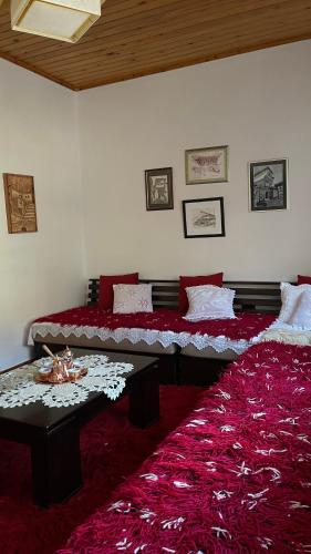 Ana Rest House Hostel Berat – Berat, IA