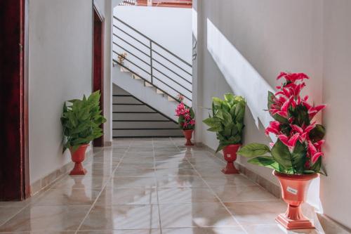 Swiss Royal DAHAB Room Type - Suite with Balcony