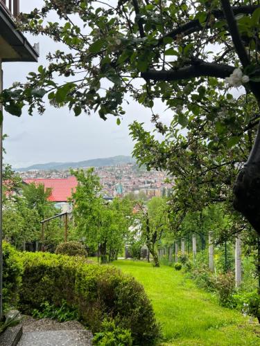 Apartment with Garden View image 3