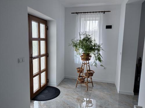 TSG Apartaments TSG Apartaments