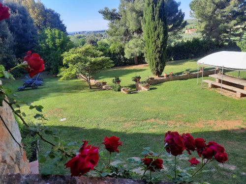 Il Moreto - Casale Toscano per gruppi vicino Bolgheri e mare 2
