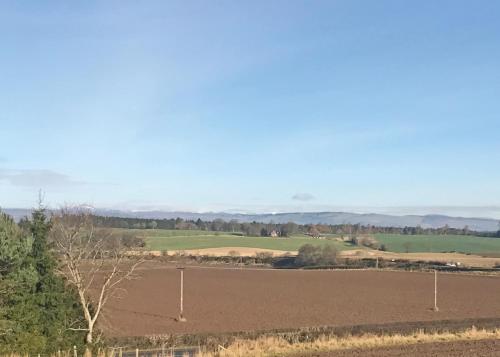 Beech Hedge - Hotel - Coupar Angus