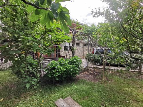 Apartment with Terrace image 10