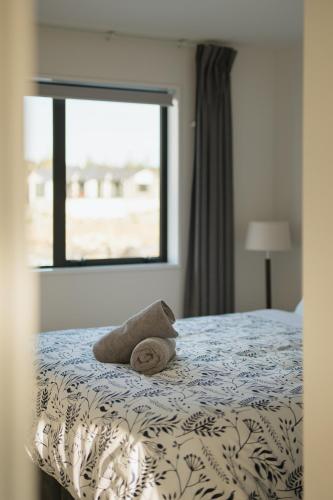 Entire Unit - 18 Rodman - newly furnished, Tekapo
