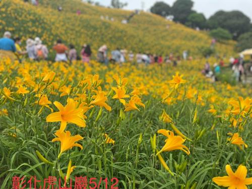 HeMei Homestay in Hemei Township