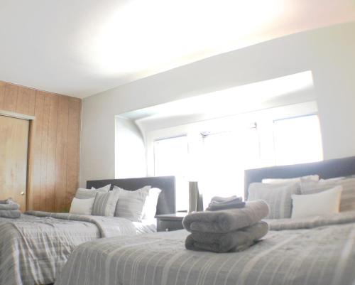 Steps Away From Hospital - 2 Queen Bed - City View in Pittsburgh, USA