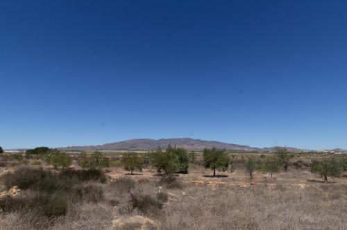 Casa Torres - Traditional Village Experience