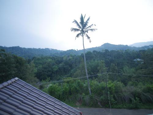 Creek Way Munnar