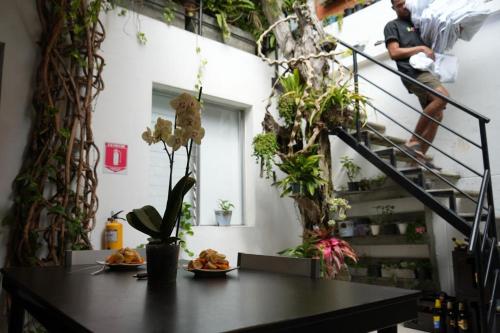 Gastón Coliving (Gaston Coliving) in 麦德林