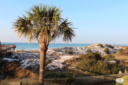 Beachside One 4025, Destin (fotografie 2)