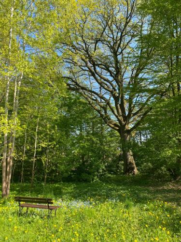 Kert, Apartament w Zabytkowej Stajni nad Jeziorem z Dostepem do Parku i Sasiedztwem XIX wiecznego Dworku M in Steklin