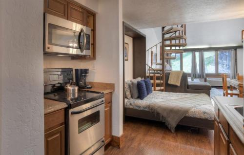 Tamarron Lodge Loft 338 in Durango, USA