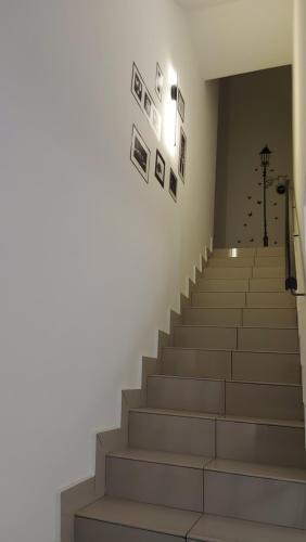 TL145 The Strata TL145 The Strata