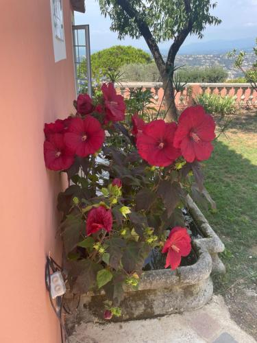 Chambre d'hôtes A l'ancre Marine De la Villa Rose – Nice, CT