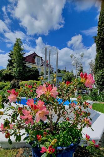 Boutique-Hotel Erbguths Villa am See - image 2