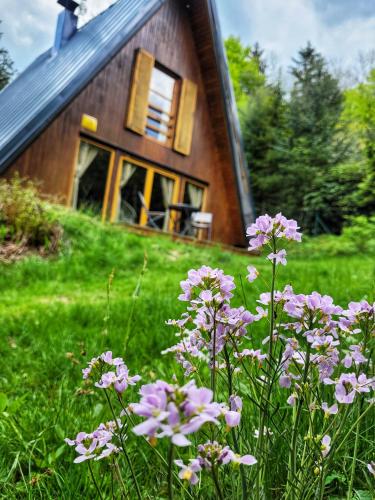 Chata pod Tolštejnem - Accommodation - Jiřetín pod Jedlovou