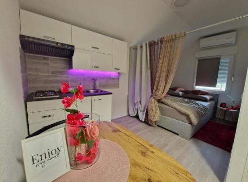 STUDIO APP & Beauty Loza, Zambratija