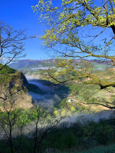 Alereks Mountain Camping