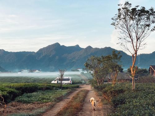 Tiệm Cà Phê Mer Homestay & Coffee Mộc Châu