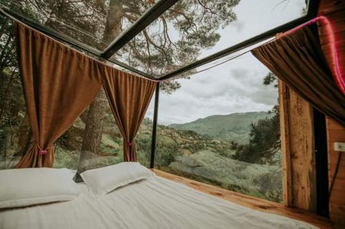 Bazaletis Akvani - Accommodation - Akho