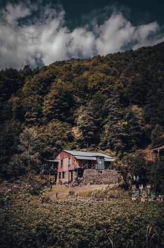 Accommodation in Korsha