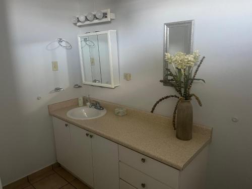 Relaxing Hillside Village Apartment - image 12