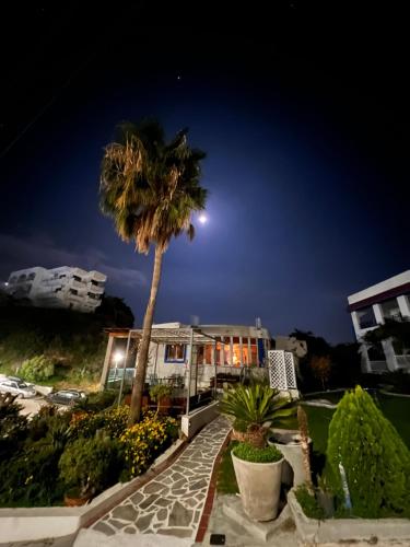 SCALA APARTS & STUDIOS - Rhodes 3