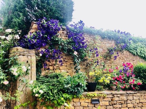 La Madignière en Beaujolais Pierres Dorées (La Madigniere en Beaujolais Pierres Dorees) in 丹尼斯