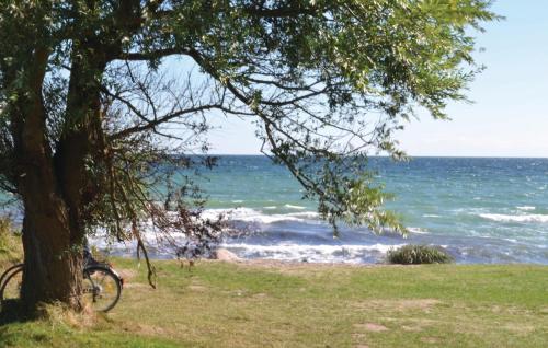 Holiday home Seeigel P - image 12