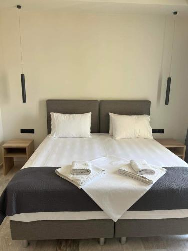 Saint Spiridon Hotel - image 2