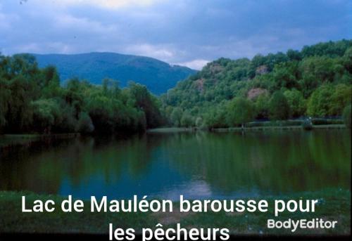 Petit village authentique in Mauleon-Barousse