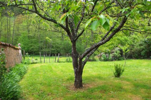 Nature calme piscine privée chauffée 7 jours minimum