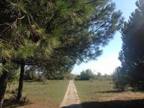 Jesolo Pineta - Appartamento Due Camere Matrimoniali Fronte Mare