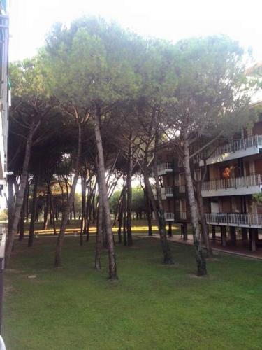 Jesolo Pineta - Appartamento Due Camere Matrimoniali Fronte Mare