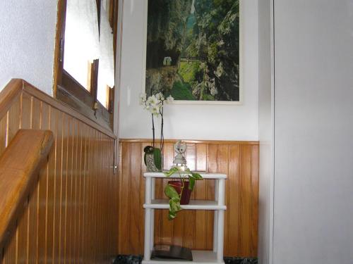 Casa Roque, Monforte de Lemos (foto 6)