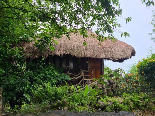 A Duong Local Guide Homestay - 주변 환경