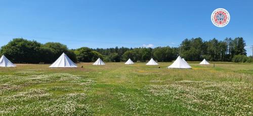 Dorset Glamping Fields