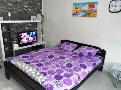 APARTMAN STARCEVIC Vršac