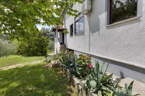 Apartment Dado - image 12