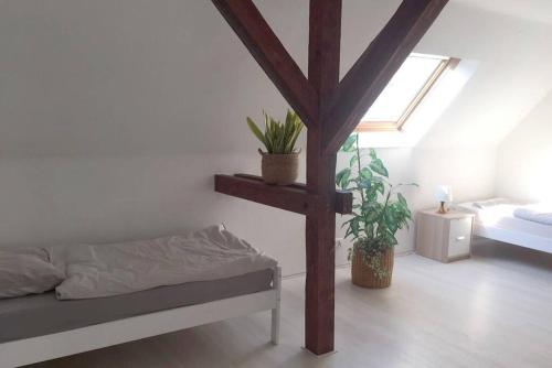 22C große Wohnung 4 Schlafzimmer Wlan/SmartTV in 科布