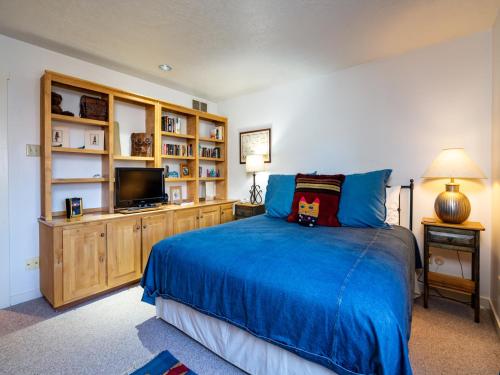 Puertas de Canyon Road, 2 Bedrooms, Sleeps 4, Fireplace, WiFi, Garage in Santa Fe, USA