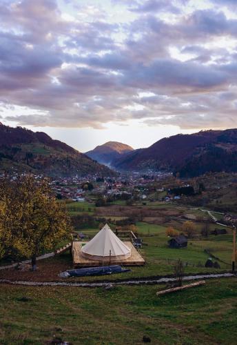 Rucăr Glamping Village - Hotel - Rucăr