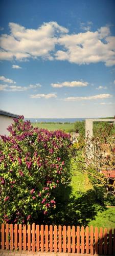 Ferienhaus in der Hansestadt mit Blick auf Ostsee