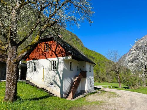 Apartments Mala Korita Soče