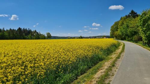 Sport és szabadidő, Ferienwohnung Fleischer in Greiz
