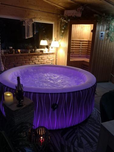 The Little Blue House in Valiug