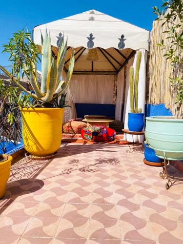 RIAD GALIYA 4