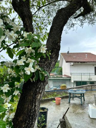  Villa Soppena: casa in montagna nella neve in Macchia dʼIsernia